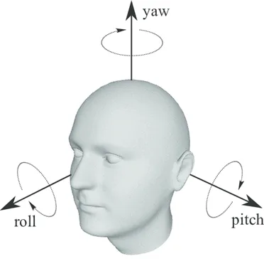 Head pose estimation demo 2