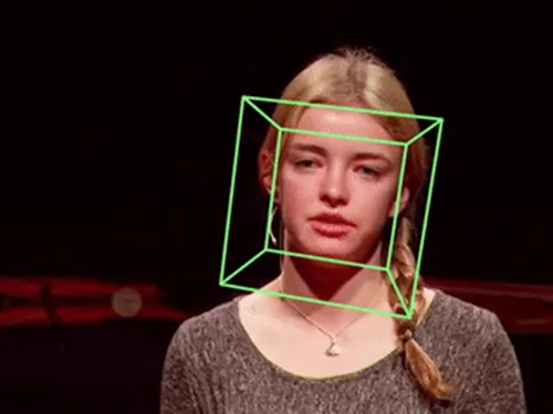 Head Pose Estimation demo